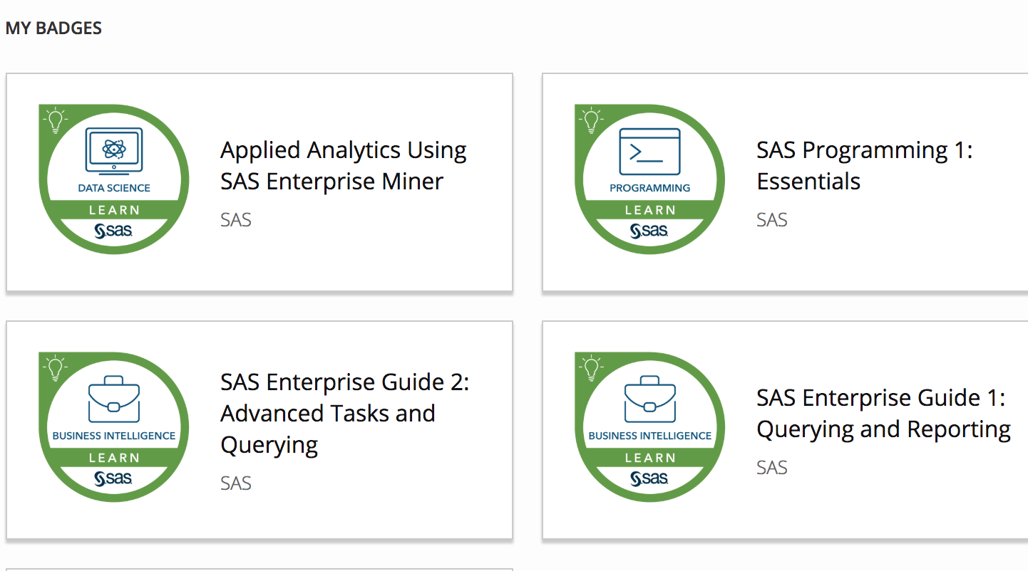 SAS Enterprise Guide